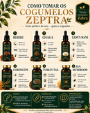 REISHI - ZEPTRA