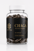 CHAGA - ZEPTRA