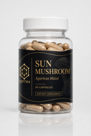 SUN MUSHROOM - ZEPTRA